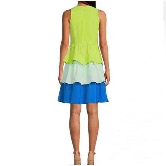 Color Block Bailey Ruffles  Crew Neck Sleeveless Tiered A-Line Dress - Picture 2 of 5